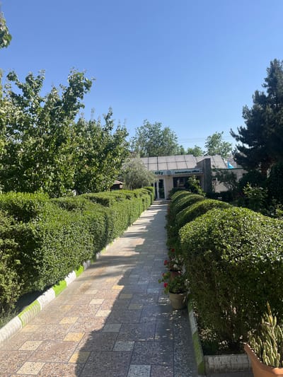 A clear, bright day in Kabul, Afghanistan, is depicted in this image, featuring a paved walkway lined with manicured green hedges. The walkway leads towards a building with "University" and "Information office" visible on its facade, suggesting it is a campus or educational institution. Solar panels are installed on the roof of the building. Large, mature trees are present on the left and right sides of the scene, and several potted plants, including a cactus, are visible along the walkway. The ground is paved with textured tiles in shades of beige and grey, with shadows cast by the trees and hedges. The overall impression is one of a well-maintained outdoor space on a sunny day.