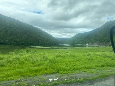 The image depicts a scenic view of a lake nestled between two densely forested mountains under a cloudy sky. The foreground is dominated by a vibrant green meadow with lush grass and scattered bushes. The lake in the middle ground is calm, reflecting the muted colors of the sky and the surrounding vegetation. The mountains on either side are covered in a thick carpet of evergreen trees, their slopes creating a dramatic natural amphitheater. In the far distance, along the shore of the lake, a road is visible with a few vehicles, suggesting human presence and infrastructure within this natural landscape. A glimpse of a car's side mirror on the right side of the frame indicates the photo was taken from within a vehicle. The overall impression is one of serene natural beauty and wilderness. This scene is likely located near Mosjøen, Norway, a town known for its proximity to dramatic fjords and mountainous terrain.