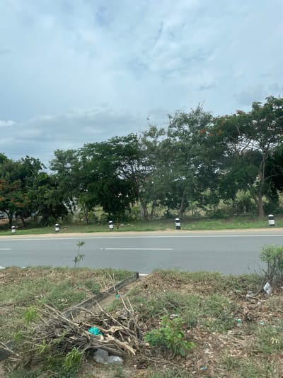 The image depicts a roadside scene in Addakal, India, under a cloudy sky. A paved road with white lane markings runs horizontally across the frame. To the right of the road, there is a patch of dry grass and some debris, including a pile of branches and scattered plastic waste. A small, slender plant grows near the edge of the road. Beyond the grass, a line of trees with dense green foliage borders the road, with some trees exhibiting small red flowers. Several black and white bollards are spaced along the edge of the road, marking the boundary between the road and the vegetated area. In the background, more trees and vegetation are visible, along with utility poles and wires. The overall impression is one of a rural or semi-urban roadside with evidence of litter.