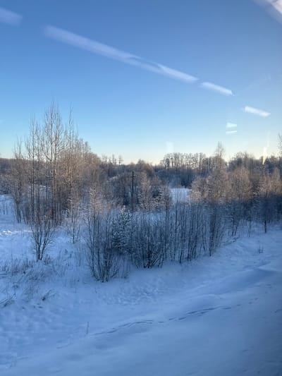 A winter scene with a clear blue sky. Trees line a snowy landscape, their bare branches covered in frost or light snow. The ground is blanketed in snow, with subtle tracks or undulations visible on the right. Light reflections on a window pane are visible in the upper left. An indistinct power line is visible among the trees. The photo is taken from an elevated perspective, likely a train or building.
