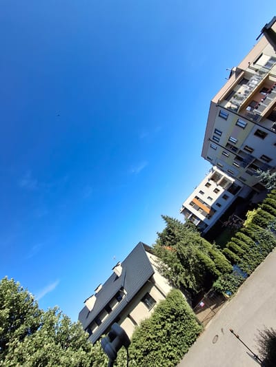 The image displays a perspective looking up at the sky, with buildings and greenery dominating the upper portion. Two apartment buildings, one taller and lighter in color with numerous windows and balconies, and another shorter, darker-roofed building, are visible. Lush green trees and manicured hedges line the base of the buildings and the edge of a paved walkway. The sky is a clear, vibrant blue with faint wisps of clouds. The angle of the shot suggests it was taken from ground level, possibly with a wide-angle lens, emphasizing the sky and the verticality of the buildings. The presence of apartment buildings and well-maintained greenery points to a residential urban or suburban setting. The bright sky and clear visibility suggest it is daytime, likely with fair weather. There is no visible text in the image.