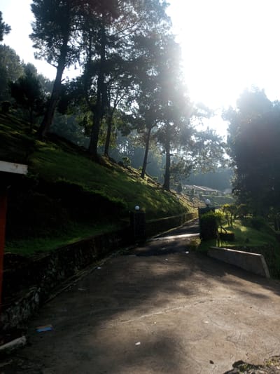 The image depicts a concrete driveway leading uphill, flanked by stone walls and green, grassy slopes dotted with trees. Sunlight filters through the trees, creating strong contrasts of light and shadow on the driveway. In the distance, a building is partially visible, nestled among the trees. The location is likely in a hilly area, based on the elevation change and the abundance of trees. While the city of Phouviang-Gnai, Laos is mentioned, there's no specific visual information in the image that confirms the location. The scene appears quiet and serene. There are no people or explicit actions visible.
