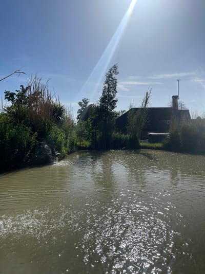 The image depicts a body of water, likely a canal or river, with sun glare reflecting off the surface. The water is a murky brown color. On the left bank, there's a line of vegetation, including tall reeds, grasses, and trees. A building is also visible in the background. The location is in Ashford, United Kingdom.