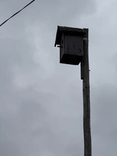 A low-angle, medium shot captures a wooden birdhouse mounted on a rough wooden pole against a cloudy, overcast sky. The birdhouse is dark, weathered wood with a sloped roof covered in a textured material. A circular entrance hole is visible on the front. The pole is rustic, showing signs of age and wear, with some carved marks or scratches. A metal band is used to attach the birdhouse to the pole. A thin, dark wire runs diagonally across the upper left corner of the frame. The overall scene is somber and muted due to the cloudy weather. The location is stated as Затишье Снт, Russia.