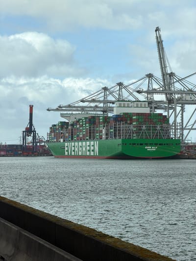 The image displays the container ship *Ever Ally*, registered in Singapore, with "EVERGREEN" prominently displayed in white lettering on its green hull, situated in a waterway within Maasvlakte, Rotterdam, Netherlands. The vessel is heavily loaded with multiple tiers of diverse shipping containers, predominantly green and blue, stacked across its deck. In the background, a series of large, grey gantry cranes, characteristic of a major container terminal, are visible with their intricate structures and extended booms positioned near the ship. To the left on the distant shore, a distinct red and black port crane stands, accompanied by stacks of containers and faint industrial infrastructure. The sky above is largely overcast with scattered light and dark clouds. In the immediate foreground, a weathered dark grey concrete barrier, exhibiting moss growth and discoloration, extends horizontally, separating the viewer's perspective from the rippled, dark water. No human individuals are visible.