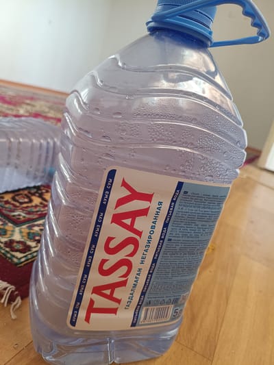 This is a close-up shot of a large plastic bottle of "TASSAY" brand drinking water, likely taken indoors. The bottle is mostly filled with water, and condensation is visible on its surface, indicating it is cold. The bottle has a blue plastic handle and cap. A label on the bottle features the brand name "TASSAY" in large red lettering, with smaller text in both Kazakh and Russian. The Kazakh text includes "АУЫЗ СУЫ" (drinking water) repeated vertically along the side. The Russian text describes the water's mineral content, shelf life, and storage instructions. The setting appears to be a room with a wooden floor and a patterned rug visible in the background. The lighting suggests it is daytime. There are no people or animals in the frame. The scene is static and focuses solely on the product.