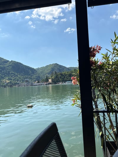The image depicts a scenic view of a calm body of water, likely a lake or river, with a lush, tree-covered mountain range in the background. The water is a tranquil green, reflecting the sky and surrounding foliage. A small, cylindrical buoy floats on the surface of the water. In the foreground, a dark, metallic structure, possibly part of a railing or balcony, frames the scene. Above the water, branches of a tree with delicate pink flowers extend into the frame, adding a touch of nature's beauty. The sky is a clear, bright blue with a few wispy white clouds scattered across it. The overall impression is one of peace and natural splendor. The lighting suggests it is daytime, likely late morning or early afternoon, with clear and pleasant weather. The presence of the mountain range and the calm water hint at a natural landscape location, consistent with Divic, Bosnia and Herzegovina, which is known for its natural beauty. No people are visible in the frame, and there is no visible text.