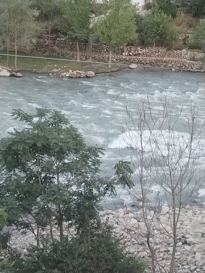 The image depicts a natural landscape with a river flowing through it. In the foreground, on the right side, are the bare branches of a deciduous tree, suggesting it might be late autumn or winter. To the left and slightly behind it, a leafy green tree stands, providing a contrast in foliage. The river itself is wide and appears to have a moderate current, with visible ripples and some white water indicating shallow areas or obstacles. The riverbanks are lined with rocks and stones. In the background, the terrain rises, covered with trees and vegetation. Some man-made structures, possibly buildings, are visible on the hillside in the distance. The overall impression is of a rural or natural setting.