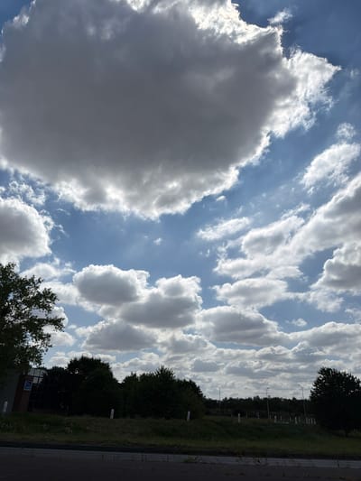 This media file depicts a sky filled with a variety of clouds against a bright blue sky, suggesting daytime. On the right side of the image, a grassy area is visible, bordered by a dark asphalt surface that appears to be a road or path. Beyond the grass, a line of trees forms a dark silhouette against the sky. Several white, cylindrical markers are spaced out along the edge of the grassy area, and a few lampposts are also visible. In the lower right portion of the image, a building with large, dark-tinted windows can be seen peeking through the trees. The overall scene is outdoors, likely in a semi-urban or park-like setting. The lighting indicates it is a bright day, with sunlight illuminating the clouds, some of which are dense and grey, suggesting a possibility of rain or recent showers, while others are wispy and white. The orientation of the image suggests it was taken with the camera held vertically. There is no visible text in the image. The composition focuses on the sky and the transition to the terrestrial elements.