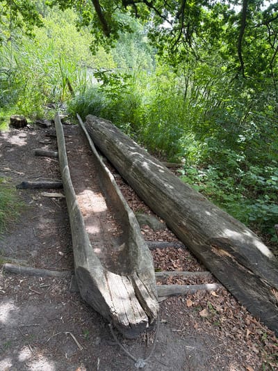 This media file shows two large, hollowed-out logs, likely old troughs, lying on the ground in a natural outdoor setting. The logs are made of rough, weathered wood and appear to be quite old. They are positioned parallel to each other, with the larger one on top and the smaller, more carved-out one below. The ground around them is covered in dry leaves, dirt, and some patches of grass.
To the left of the logs, there is lush green foliage, with trees and tall grass suggesting a woodland or park environment. Sunlight filters through the leaves, creating dappled shadows on the logs and the ground, indicating it is daytime. The overall scene evokes a sense of nature and history, possibly at a heritage site or a historical reenactment location, given the context of Lejre, Denmark, known for its historical and archaeological attractions. There is no visible text in the image. The weathered appearance of the logs and the natural surroundings suggest a rustic and peaceful atmosphere.