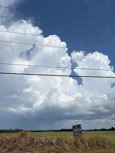 A political campaign sign for Mark Stanoch is visible in a field in Parrish, Florida, United States. The sign is blue and white with text that reads "MARK STANOCH" and "REPUBLICAN FOR COUNTY COMMISSIONER DISTRICT 1". The sign is situated in a grassy field with some dry grass in the foreground. In the background, there are trees and a cloudy blue sky with power lines running across the top of the image. The area appears to be rural.