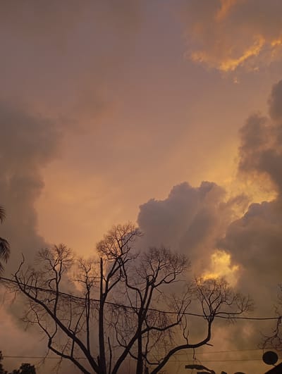 The image shows a view of the sky at dusk, likely in Mideuenjok, Indonesia, though the location is not definitively proven in the image. A cluster of bare trees with thin branches occupies the lower portion of the frame, silhouetted against the colorful sky. The sky is a blend of orange, yellow, and grey tones, with cloud formations present. The clouds are especially dense towards the edges of the frame and above the trees, creating a border around a brighter, orange-hued center. Power lines are visible running through the branches of the trees, though they do not seem very new.