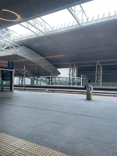 This media file captures a person with luggage at a modern train station in Dongguan, China. The scene is an indoor platform, indicated by the large, sloped, corrugated metal roof supported by white geometric trusses. The platform is paved with grey tiles, and a tactile paving strip is visible along the edge.
A young woman, seen from the back, is standing on the platform with a yellow suitcase. She appears to be waiting, possibly for a train. Her attire is casual, suggesting an ordinary day. The overall atmosphere is calm and orderly, typical of a transportation hub.
In the background, a train carriage is partially visible, with its windows reflecting the station's interior. Signs with Chinese text are mounted on the platform, one featuring a blue number '3' in a square, possibly indicating the platform number. Another sign above a glass-enclosed waiting area displays Chinese characters and an arrow, likely providing directional information for passengers. The lighting suggests daytime, with natural light filtering in from the large open structure of the station. The architecture is sleek and contemporary, blending industrial elements with a spacious, open design. The image conveys a sense of transit and travel within a functional urban environment.