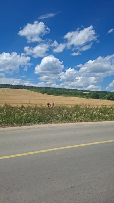 The image depicts a rural landscape in Mereșeni, Moldova, under a bright blue sky dotted with white, fluffy clouds. In the foreground, a paved road with a single yellow line runs diagonally across the frame. Adjacent to the road, a strip of green vegetation and dry grasses separates it from a vast, golden field of harvested crops. This field extends towards the horizon, where a dense line of green trees forms a treeline, suggesting a forest or wooded area. The overall scene captures a tranquil, agrarian setting on a sunny day.