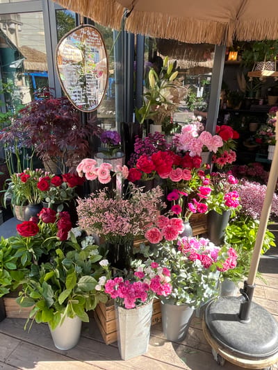 A street-level exterior view reveals a colorful floral display in front of a shop, situated in Montpellier, France. A beige awning, featuring a textured fringe, shades the left side of the frame. A glass window, adorned with a hanging oval sign with text in French, reflects the street scene. A profusion of flowers, predominantly in shades of red, pink, and purple, are arranged in containers or pots on shelves and the ground. Green foliage provides a backdrop to the blossoms. The scene is brightly lit, suggesting daytime. The sidewalk consists of wooden planks. A large gray umbrella base stands to the right, partially obscuring some of the floral arrangements.
