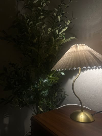 The image depicts an indoor scene with a table lamp and a tall plant. On the right, a brass-colored table lamp with a curved stem and a pleated, light-toned fabric lampshade illuminates a section of a textured, light-colored wall. The lamp rests on a dark reddish-brown wooden surface, possibly a nightstand or side table. A white electrical cable extends from the lamp base across the wooden surface. To the left, a tall, dark green artificial plant, resembling an olive tree with small dark fruits, stands against the wall. The lamp's light casts distinct shadows of the plant's foliage onto the wall. No individuals are present in the frame. There are no identifiable features within the image to specify a location within the city of New Orleans, United States.