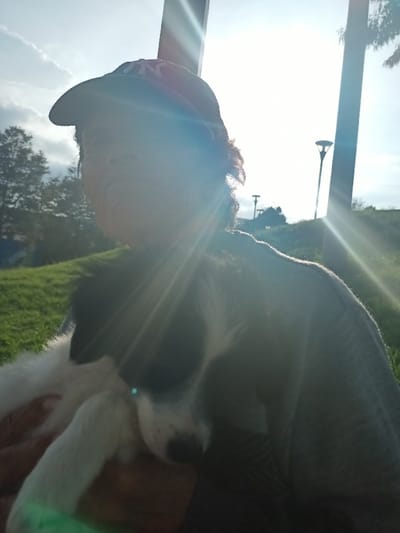 A person wearing a baseball cap is holding a black and white dog. The image is taken outside, possibly in a park, with a green grassy area visible. There are lampposts in the background. The sun is very bright, causing lens flare and making it difficult to see the person's face and details of the surrounding area.