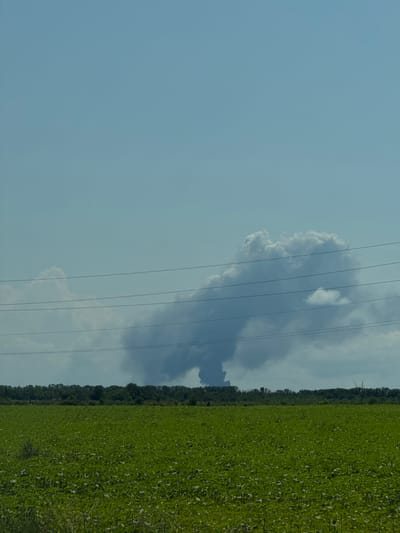 The image depicts a rural landscape under a pale blue sky with scattered clouds. In the foreground, a vast field of green crops, likely sunflowers, stretches to the horizon. A line of trees forms a dark band behind the field. Above the trees, a large, dark cloud formation is visible, with a plume of smoke or dust rising from its base, suggesting an industrial or natural event. Power lines cross the sky horizontally, obscuring parts of the cloud formation. The scene appears to be located in the vicinity of Рождественская, Russia, given the provided context. There are no people or visible animals in the image.