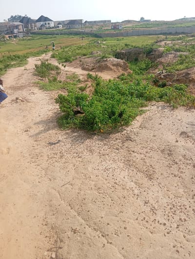 The image depicts an unpaved, sandy path winding through a semi-arid landscape in Karsana 2, Nigeria. Green vegetation, including bushes and taller plants, borders the path, with some areas appearing overgrown. In the background, a residential development is visible, featuring houses with modern architectural designs and a fence surrounding the area. A few scattered trees are also present. The sky is clear and bright, suggesting daytime. The ground is uneven and appears to be a mix of sand and small stones. There are no people directly interacting in the foreground, though a person's lower body in blue and patterned clothing is partially visible on the far left of the image, suggesting they are walking on the path. The overall scene conveys a sense of ongoing development in a rural or peri-urban setting.