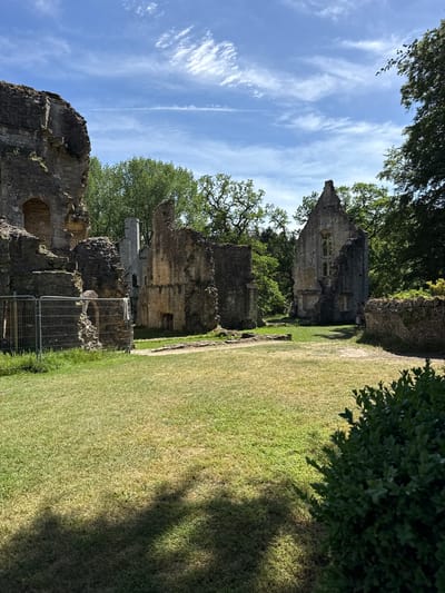The image captures the ruins of Minster Lovell Hall, situated in the town of Minster Lovell, West Oxfordshire, United Kingdom. The scene shows fragmented stone structures and walls, partially overgrown with vegetation, suggesting the remnants of a once-grand building. A lawn extends toward the right edge of the frame, marked by variations in its color and texture. The sky above is visible through the gaps in the ruins and the surrounding foliage, revealing a blue expanse with scattered clouds. Modern metal fencing is present near the lower portion of the image, likely to restrict access to a certain section. The overall setting conveys a sense of history and decay.