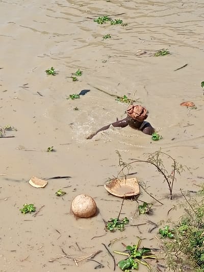 In Kokani North, Nigeria, a single individual is partially submerged in a body of turbid, brownish-grey water. The person's head, covered by a light brown fabric headwrap, and their right arm are visible above the surface. The outstretched right arm is engaged in an action causing visible splashing and ripples in the water, suggesting movement. The water's surface is interspersed with numerous small green aquatic plants, various organic debris including sticks and leaves, and several pieces of dried, bowl-shaped plant material resembling coconut husks. A whole, light-colored spherical object, possibly a coconut, floats in the lower-left foreground.