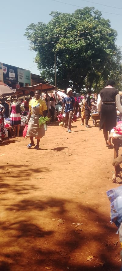 An active outdoor market scene unfolds in Shirungu-Mugai ward, Kenya, under a clear, bright sky. The ground is unpaved, consisting of reddish-brown compacted soil, marked by distinct shadows indicating strong overhead sunlight.
In the foreground, slightly left of center, a woman walks towards the viewer, her gaze directed towards the camera. She wears a yellow polka-dot short-sleeved top under light brown or tan overalls, and blue sandals. Her left hand holds a red shopping bag, while her right hand carries a bunch of green leafy vegetables.
To her right, in the mid-ground, a man proceeds away from the camera, wearing a blue t-shirt displaying "Emirates FLY BETTER," light-colored pants, and a white skullcap. He carries multiple red net bags, likely containing produce such as onions, in both hands. Further to the right and slightly behind him, another woman, seen from behind, walks right, dressed in a dark garment with white long sleeves.
Numerous other individuals, appearing as shoppers and vendors, are present in the mid-ground and background, partially obscured by market stalls. These stalls feature various goods, including clothing displayed on mannequins, such as a striped red, white, and blue dress. The stalls are covered by assorted canopies.
In the background on the left, a row of commercial buildings is visible, some with legible signage including "OK-OWN EXIDE," "POWERBOX," "SunTimes," "Energy Solutions For All," and "NAIPAS ENTERPRISE SHOP" with "MTUMIA BIKE" below it. Overhead, utility lines traverse the frame. A large, dense green tree dominates the background to the right, suggesting shade. Plastic packaging material is present on the ground in the bottom right corner.