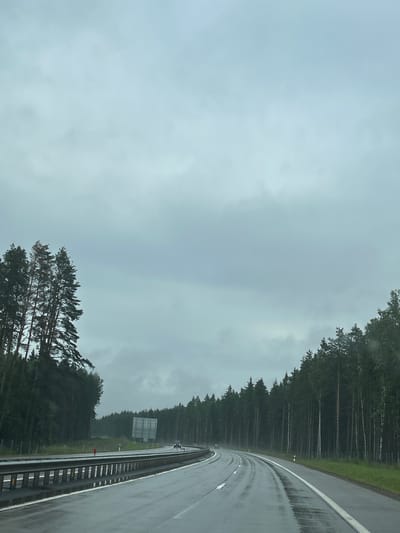 The image depicts a wet, overcast highway in the city of Lahojsk selsaviet, Belarus. The road curves to the right, bordered by a dense forest of tall pine trees on both sides. The asphalt is glistening with water, indicating recent rainfall. A metal guardrail runs along the left side of the road, separating it from a grassy embankment. In the distance, a large, rectangular billboard stands near the right side of the road. Two vehicles are visible on the highway: a dark-colored car in the right lane and a smaller, lighter-colored vehicle further ahead in the left lane. A red traffic cone is positioned on the shoulder of the road near the guardrail. The sky is a uniform, pale gray, suggesting a cloudy or foggy day.