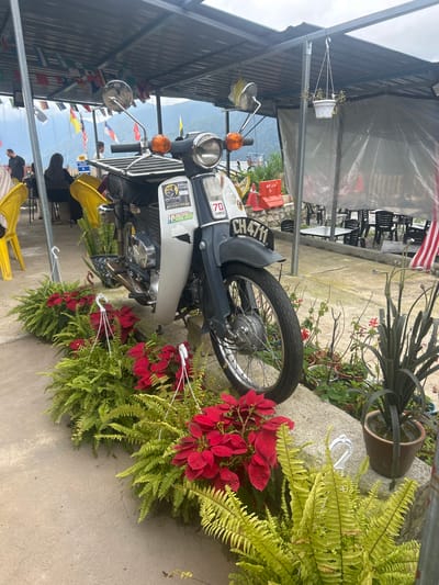 The image depicts an outdoor scene with a classic motorcycle parked near a row of potted plants. The motorcycle, a dark color with chrome accents, features a license plate reading "CH 4711". It is adorned with stickers, including one with "RIDER PERAK" and "70 DELUXE". In the background, there is a covered seating area with tables and chairs, and numerous small flags are strung across the ceiling. A few people are visible in the background, some seated and others standing. The environment appears to be a resting or dining area, possibly with a scenic view, given the mountainous landscape visible beyond the flags. Lush green ferns and bright red poinsettias are arranged along the edge of the paved area in front of the motorcycle. The location is identified as Kampung Kerawat, Malaysia.