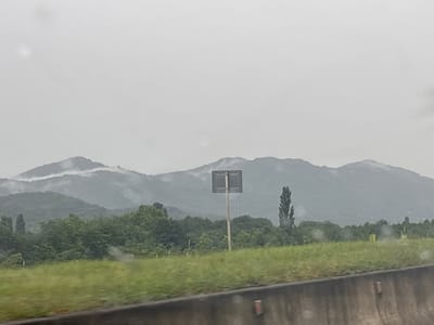 The image depicts a landscape view with mountains in the background, partially obscured by fog or clouds. In the foreground, there is a grassy field and a concrete barrier. A tall, thin tree stands to the right of a square sign on a pole, which is positioned in the middle of the field. The sky is overcast and the overall atmosphere is muted due to the weather conditions. The scene appears to be along a road or highway, given the concrete barrier. The location is identified as Nigot'is Temi, Georgia. There are no people visible in the image.