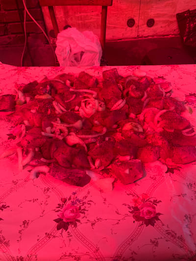 A pile of raw meat and onions sits on a floral-patterned tablecloth under red lighting. The meat appears to be seasoned with dark spices. In the background, a white plastic bag is visible, along with some wooden structures and a brick wall, suggesting an outdoor or rustic setting. The location is identified as Yanovo-Grushevsky, Russia.