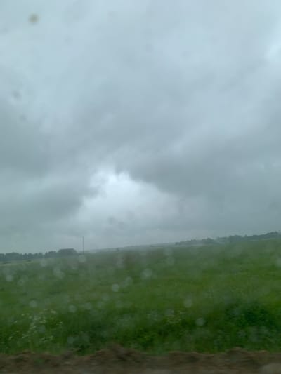 A photograph taken from a vehicle, looking out at a rural landscape under a cloudy sky. The foreground shows a dark, blurred strip of land, possibly the side of a road or a ditch. Beyond this, a vast green field stretches out, dotted with what appear to be small white wildflowers. In the mid-ground, a dark line of trees forms a distant treeline. A single, thin vertical pole stands out against the field in the middle distance. The sky is overcast with heavy grey clouds, obscuring any clear view of the sun. The overall impression is one of a somber, possibly damp, day in the countryside. The location is specified as Курапольскі сельскі Савет, Belarus.
