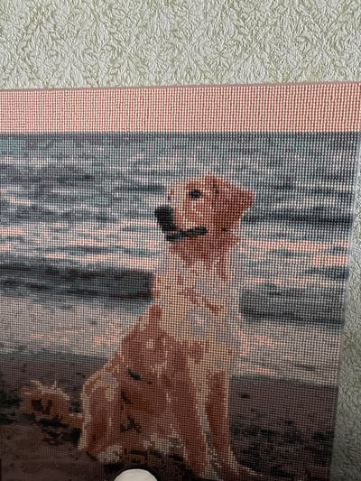 This is a diamond painting of a Golden Retriever sitting on a beach. The dog is facing left, with its head turned towards the viewer. The water is in the background, with ripples and reflections of the sky. The sand is light brown, and there are some rocks and seaweed in the foreground. The diamond painting is framed by a pink border at the top and a textured green wallpaper is visible in the background. There is no information about the location in the city of Rezh, Russia.