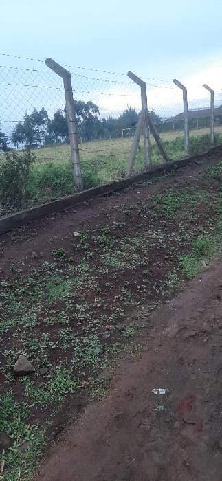 The image displays an outdoor scene, appearing rotated 90 degrees clockwise from its intended orientation. When viewed correctly (with the fence running horizontally), it features a fence line separating a dirt path or ground from a grassy field.
In the middle-left portion of the frame (if rotated correctly), a fence is prominently featured. It is constructed with several tall, light grey, possibly concrete, fence posts. These posts have distinctive angled extensions at their tops, designed to hold multiple strands of barbed wire, though specific strands of barbed wire are not clearly visible on these extensions. A wire mesh fence is stretched and attached between these posts, forming the main barrier.
To the right of the fence (if rotated correctly), there is an expanse of reddish-brown earth, which could be a dirt path, shoulder of a road, or an uncultivated area. This dirt ground is not entirely bare; it has numerous small, green plants and weeds sparsely scattered across its surface, particularly denser closer to the fence line. In the upper right section of this dirt area, a small, crinkled piece of white litter is visible on the ground.
Beyond the fence, to the left (if rotated correctly), a lighter green, open field or pasture stretches into the distance. Further back, a cluster of dark green trees with dense foliage forms a horizon line. The sky above is a pale, bright blue or light grey, suggesting an overcast day or a very bright, hazy condition. The overall lighting indicates it is daytime.
No people, animals, or discernible text are visible in the image. The scene captures a natural boundary in what appears to be a rural or semi-rural environment.