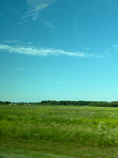 The image depicts a vast, green field under a bright blue sky with scattered white clouds. The field appears to be a rural landscape, possibly a meadow or farmland, with some vegetation and distant trees. In the far distance, a small cluster of houses with red roofs can be observed, suggesting a settlement or village. The overall impression is one of a serene and open countryside. The image quality suggests it might have been taken from a moving vehicle, as there is a slight motion blur in the foreground. The specific location in Cherepanovo, Russia, is not visually identifiable within the image itself, but the description aligns with typical rural scenery in such a region.