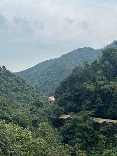 This image depicts a lush, forested mountain valley. The slopes are densely covered with various shades of green foliage, indicating a rich and diverse ecosystem. The sky is overcast with pale grey clouds.
In the middle ground, nestled within the trees, a series of structures with thatched roofs and wooden walls are visible, suggesting a resort or a cluster of rustic dwellings. Some of these structures appear to be elevated, possibly on stilts, and are connected by walkways or bridges, also made of wood. One structure in the background has a lighter colored roof, possibly tile, and its walls are a light brown, contrasting with the surrounding greenery.
The overall impression is of a serene, natural environment with human habitation integrated into the landscape. The scene is dominated by the vibrant greenery of the mountains and the muted tones of the sky, creating a peaceful and secluded atmosphere. The location is likely within or near Qingyuan City, China, known for its natural beauty and mountainous terrain.