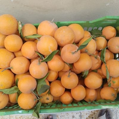 The image displays a large quantity of freshly harvested oranges piled within a green plastic produce crate. The oranges are predominantly round, vibrant orange in color, and many retain small green leaves and stems. A light, dusty residue is visible on some of the fruit surfaces. The crate, with its grid-like structure, is filled to overflowing, with oranges extending slightly beyond its visible top and side edges. The background consists of a light-colored, possibly beige or off-white, wall at the top, and a speckled, light-grey floor surface at the bottom. Partial views of two feet wearing sandals are visible at the very bottom edge of the frame, suggesting a person or persons standing near the crate. The scene is illuminated by ambient light, likely occurring in a market or vendor setting in Baghdad, Iraq.