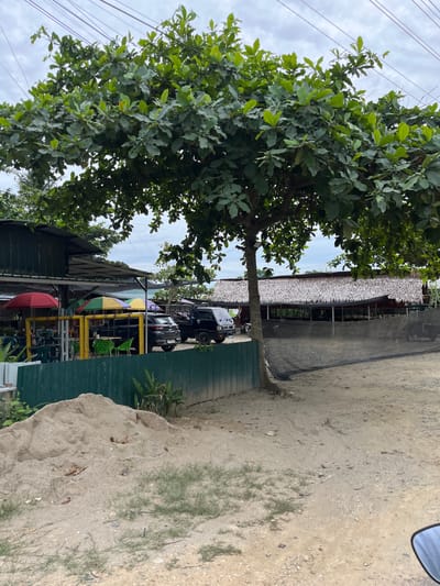 This image depicts an outdoor scene in Tanahterban, Indonesia. A large tree with lush green leaves dominates the left side of the frame, with its branches reaching towards a cloudy sky. Power lines are visible overhead, stretching across the sky.
In the background, there is a building with a thatched roof, possibly a restaurant or resort. Several vehicles, including a black SUV and a grey car, are parked in front of the building. Colorful umbrellas – red, yellow, and green – are set up, suggesting an area for relaxation or dining. A green metal fence runs along the side of the property, separating it from a sandy area.
The ground in the foreground is sandy with patches of dry grass and scattered debris. A large pile of sand is also visible on the right. The overall impression is of a casual, tropical setting, likely a beachside establishment. The lighting suggests it is daytime, but the overcast sky indicates potentially cloudy or nearing dusk conditions. There is no visible text in the image.