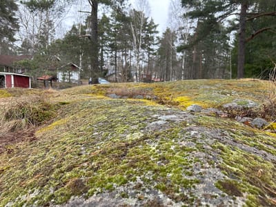 A close-up view of a moss-covered rock dominates the foreground. The rock is covered in varying shades of green and yellow moss. Several small rocks are scattered on top of the moss. In the background, there is a scene of wooded land, with trees of varying types and bare branches visible against an overcast sky. Some structures are visible through the trees, specifically a red building and another light-colored building, located in Gränsta, Sweden.