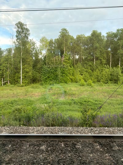 The image shows a view from a train in a rural or suburban area, possibly near Керамик, Russia. The foreground consists of a railway track with gravel and the side of the train carriage. Beyond the tracks, there is a grassy field with some purple flowers interspersed. In the background, a forest of deciduous trees, likely birches, stretches into the distance under a cloudy sky. Overhead power lines are also visible.