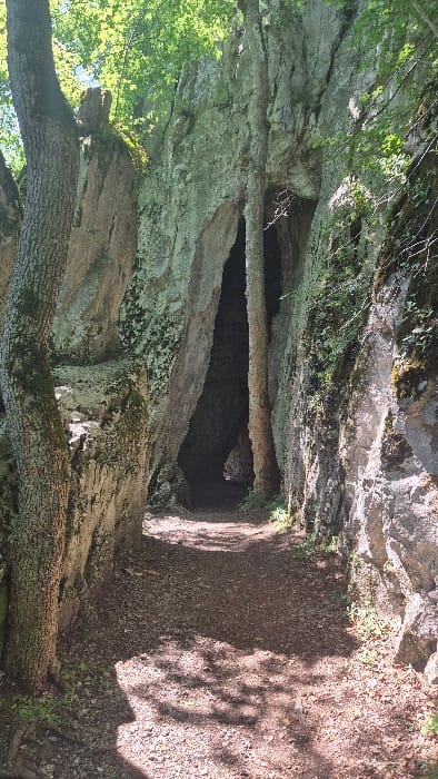 A narrow dark cave entrance is framed by jagged rock formations and mossy trees. Sunlight filters through the leaves, casting shadows on the ground. The cave's opening is low, partially blocked by a fallen tree trunk. A small dirt path leads to the entrance, suggesting a natural passageway. The overall scene conveys a sense of mystery and invites exploration.