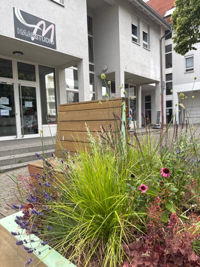The image captures a street view in Sindelfingen, Germany, featuring the facade of a building housing a hair salon called "HAARSTUDIO M". The building has a modern architectural style with light-colored stucco walls and large windows. In the foreground, a wooden bench is adorned with a vibrant planter filled with a variety of plants, including lavender, grasses, and echinacea flowers. The lighting suggests it is daytime, with soft shadows indicating an overcast or diffused light condition. The overall scene conveys a sense of urban greenery and a commercial establishment.