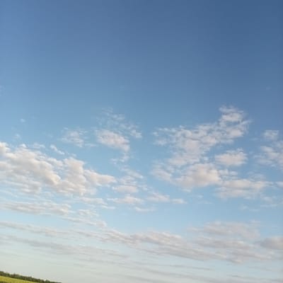The image depicts a wide expanse of a pale blue sky, filled with scattered white and light gray clouds. Some clouds are wispy and thin, while others are more dense and puffy. The lower portion of the image shows a distant, blurred green and yellow landscape, suggesting a field or vegetation, with a dark line of trees or foliage along the horizon. The lighting indicates it is daytime, likely mid-morning or late afternoon given the soft quality of the light. There are no visible people, animals, or man-made structures in the frame, focusing solely on the natural environment of sky and distant land. The location is identified as Slobidka, Ukraine.