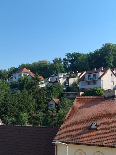 The image shows a view of houses nestled on a hillside in Hluboká nad Vltavou, Czechia. The scene is dominated by lush green trees that surround and partially obscure several buildings. In the foreground, a dark-tiled roof occupies the lower portion of the frame. Above this, a lighter-colored roof with red tiles features a distinctive arched window. Further up the hillside, a white house with a red-tiled roof and balconies is visible, interspersed with more evergreen trees. The background consists of a dense line of trees forming the top of the hill, against a clear blue sky. There are no people or visible animals in the image. The architecture suggests a residential area with varying building styles.