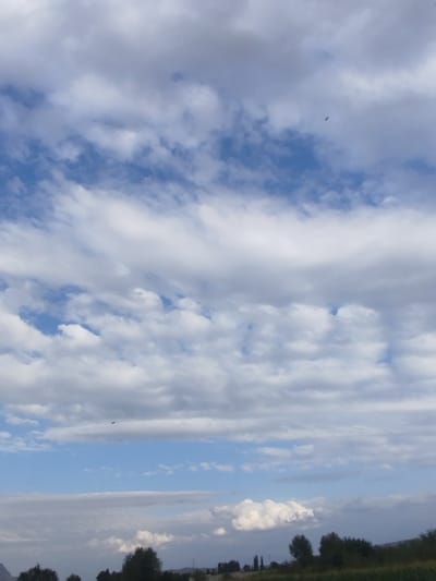 The image depicts a landscape scene with a cloudy sky and a silhouetted treeline in the lower portion. Two birds are visible in flight against the sky. The bottom of the image shows a few trees and some distant hills, suggesting an outdoor, possibly rural, setting. The clouds are varied, with some appearing dense and white, while others are more diffused and layered, with patches of blue sky visible between them. There are no identifiable structures or people present in the image.