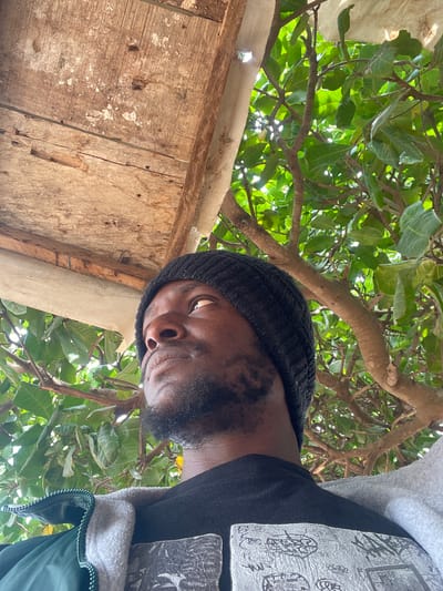 A low-angle, medium shot captures a Black man wearing a black beanie and a black t-shirt. He is wearing a green jacket over his t-shirt. The man is positioned in the lower right portion of the frame, looking upwards and to the left. His face is partially obscured by the beanie and the angle of the shot, but his eyes, nose, and mouth are visible. He has a beard and mustache. Behind him, lush green foliage and tree branches are abundant, suggesting an outdoor setting. Above the man, a section of a wooden structure, possibly a roof or ceiling, is visible, with rough-hewn planks and some white material. The lighting indicates it is daytime, with sunlight filtering through the leaves. The scene appears to be set in a natural or semi-natural environment, possibly a garden or a less developed area within a city. The image does not provide specific cues to pinpoint the exact location within Abuja, Nigeria, beyond suggesting an outdoor, possibly rustic setting.