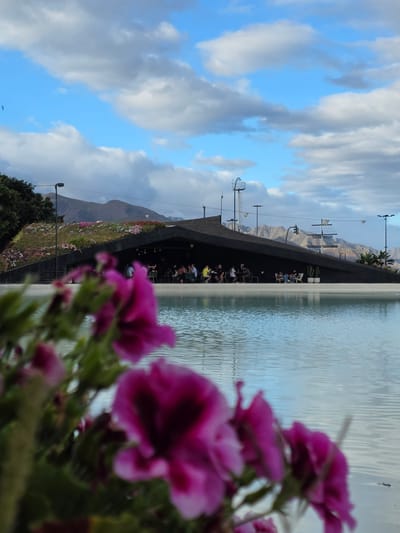 This media file depicts an outdoor scene at what appears to be a cafe or restaurant overlooking a body of water. In the foreground, out-of-focus pink flowers are prominent. The background reveals a modern, dark-colored structure with a sloping roof, beneath which people are seated at tables. Beyond this structure, a vast, calm body of water with ripples stretches into the distance. In the far background, mountains are visible under a partly cloudy sky, suggesting a mountainous terrain.
Several individuals are visible sitting at tables under the shaded area of the building, appearing to be engaged in conversations or enjoying a meal. There are also streetlights present, indicating it could be late afternoon or evening. The sky is a mix of blue with white and gray clouds, hinting at a pleasant but not entirely clear day. The location is identified as Santa Cruz de Tenerife, Spain. No visible text is present in the image. The overall atmosphere seems relaxed and social, with people enjoying the amenities of the establishment against a scenic backdrop of water and mountains.