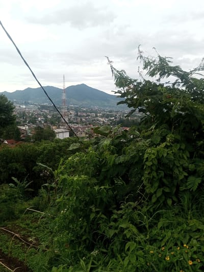 The image displays an elevated panoramic view of Bhupalpally, India, under an overcast sky. The foreground features dense green foliage comprising various shrubs and plants, with distinct yellow wildflowers in the lower right. A dark cable runs diagonally from the upper left into the midground. The midground reveals the city of Bhupalpally, characterized by numerous buildings with diverse roof colors, interspersed with trees. A tall red and white telecommunications tower stands prominently within the urban sprawl. In the background, a range of dark green, tree-covered mountains rises against the grey, cloudy sky. No individuals, specific actions, or interactions are visible.