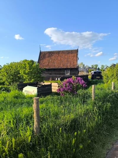 The image captures a rural scene in Oudorp, Netherlands. A weathered, dark-wood building with a terracotta tiled roof sits nestled amongst lush greenery. A small, square window punctuates one side of the building. Foreground elements include a white tank with "BENEGAS" printed on it, surrounded by wooden crates. A vibrant lilac bush adds a splash of purple color. Behind the building, a black car is parked, with a visible license plate reading "R-807-SH". The scene is partially obscured by tall, green grass and a wooden fence in the foreground. The sky is blue with scattered white clouds. The lighting suggests a sunny day.