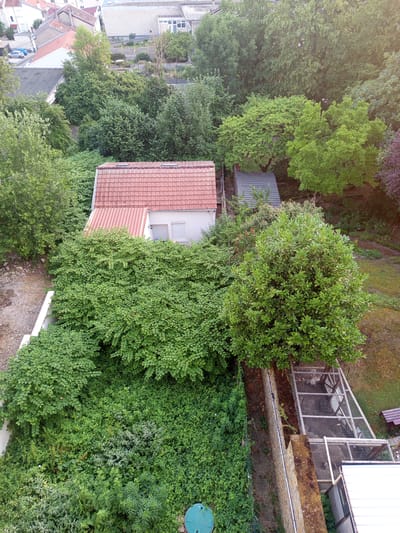 An aerial view captures a densely overgrown backyard in Nancy, France, dominated by lush greenery. A small, white house with a red tiled roof is partially obscured by abundant bushes and trees. Adjacent to the house, a weathered gray shed stands amidst the foliage. Further into the yard, a large, bushy tree with light green leaves is prominent. In the lower right quadrant, a triangular wire-mesh enclosure, likely a chicken coop, is visible, containing at least two birds. A section of a stone wall runs alongside the enclosure, and beyond that, a bench rests on a grassy area. The overall impression is one of untamed nature reclaiming a residential space.