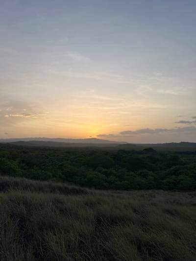 The image captures a serene landscape at dusk, likely near Nindirí, Nicaragua. The foreground is dominated by dry, tall grasses, their blades bent and swayed by an unseen breeze, creating a textural foreground. Behind the grasses, a dense, dark green forest stretches across the midground, its canopy appearing thick and lush. In the distance, a series of rolling hills are silhouetted against the horizon. The sky is a spectacle of twilight colors, transitioning from a pale blue at the top to warm hues of orange and yellow near the horizon, where the sun is setting. Scattered clouds, tinged with the colors of sunset, add depth to the sky. The overall scene evokes a sense of tranquility and the natural beauty of the Nicaraguan countryside during the evening. There are no people or specific man-made structures visible in the image.